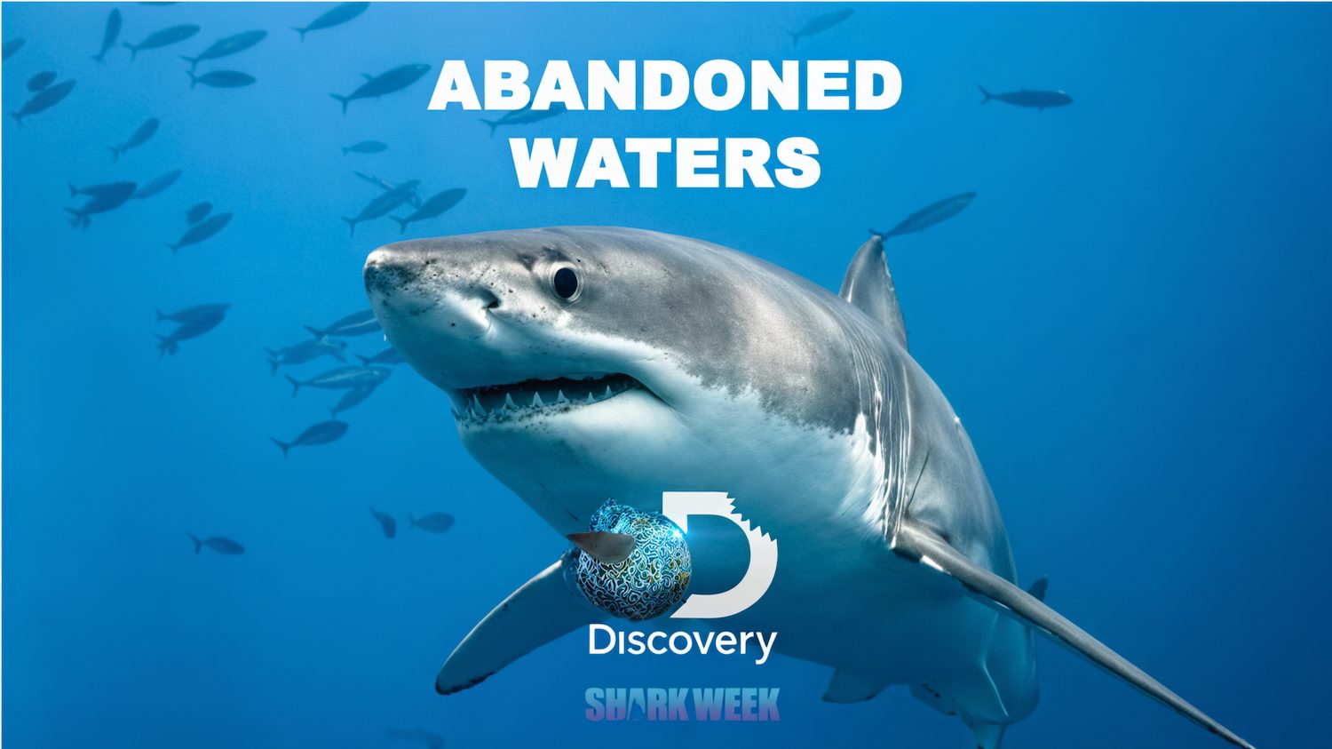 Abandoned Waters key art