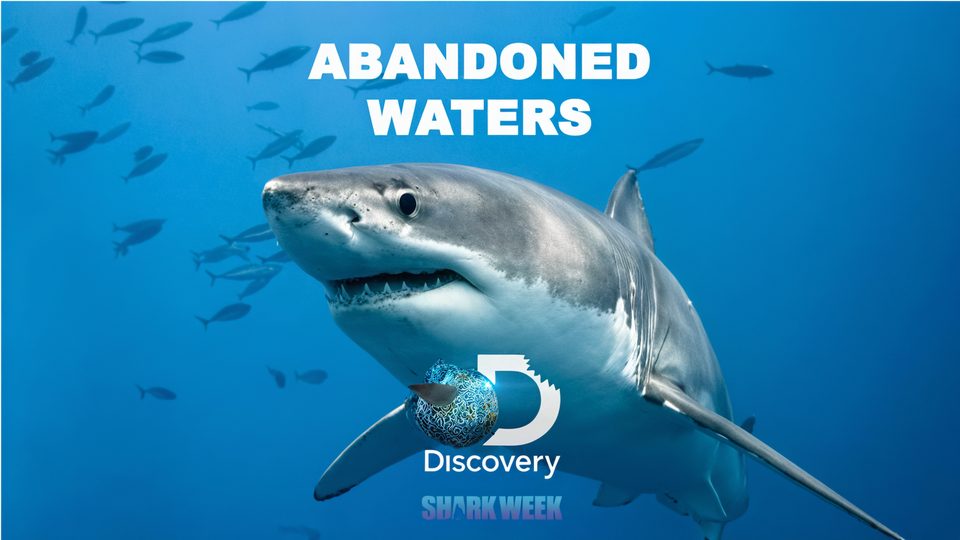 Abandoned Waters key art