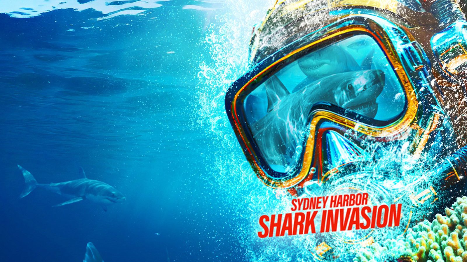 Sydney Harbour Shark Invasion key art