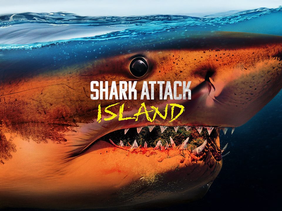 Shark Attack Island key art